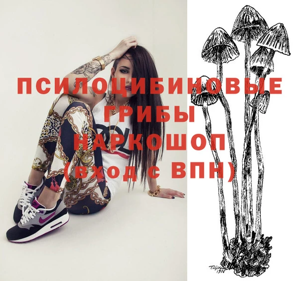 дмт Нея