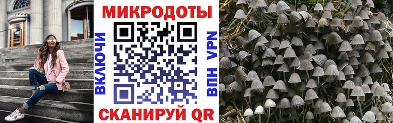 Псилоцибиновые грибы прущие грибы  Болохово 